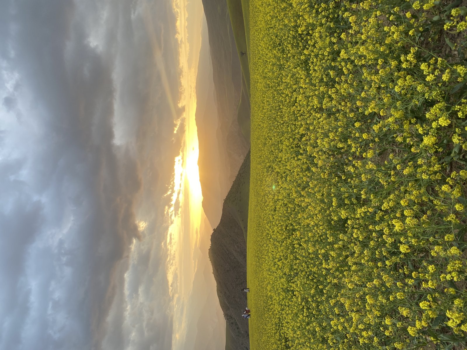 تصویر 2
